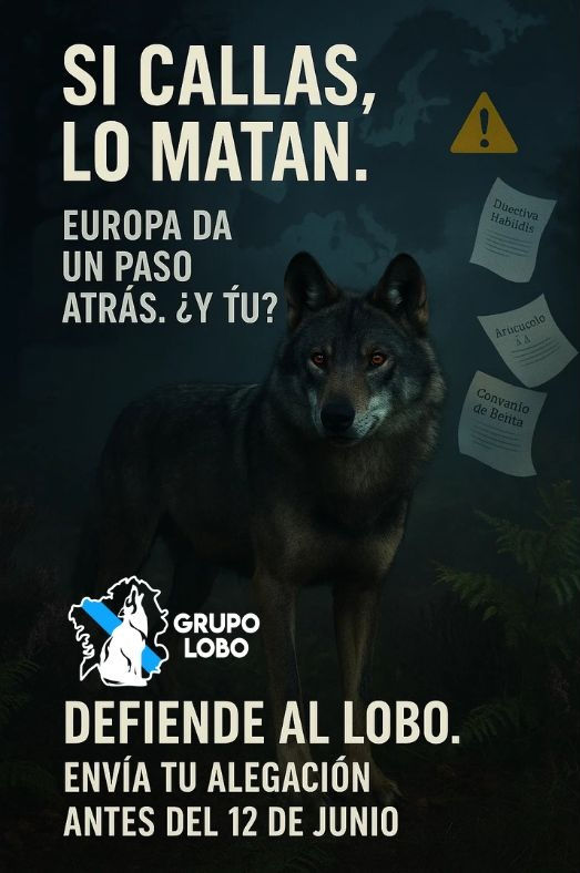 PARTICIPA: O LOBO PODE PERDER A SÚA PROTECCIÓN EN EUROPA