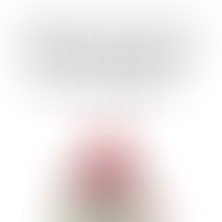 How to Choose a Homeschool Curriculum