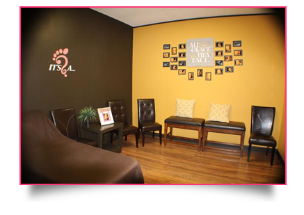 BabyFlix Ultrasound Room Fort Smith