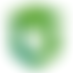The logo for Green Charter Schools