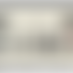 In Loco Parentis: When Institutions Choose Reputation Over Children