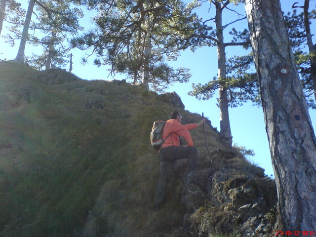 DSC01722.resized.JPG