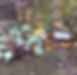 20191020_104337_edited.jpg