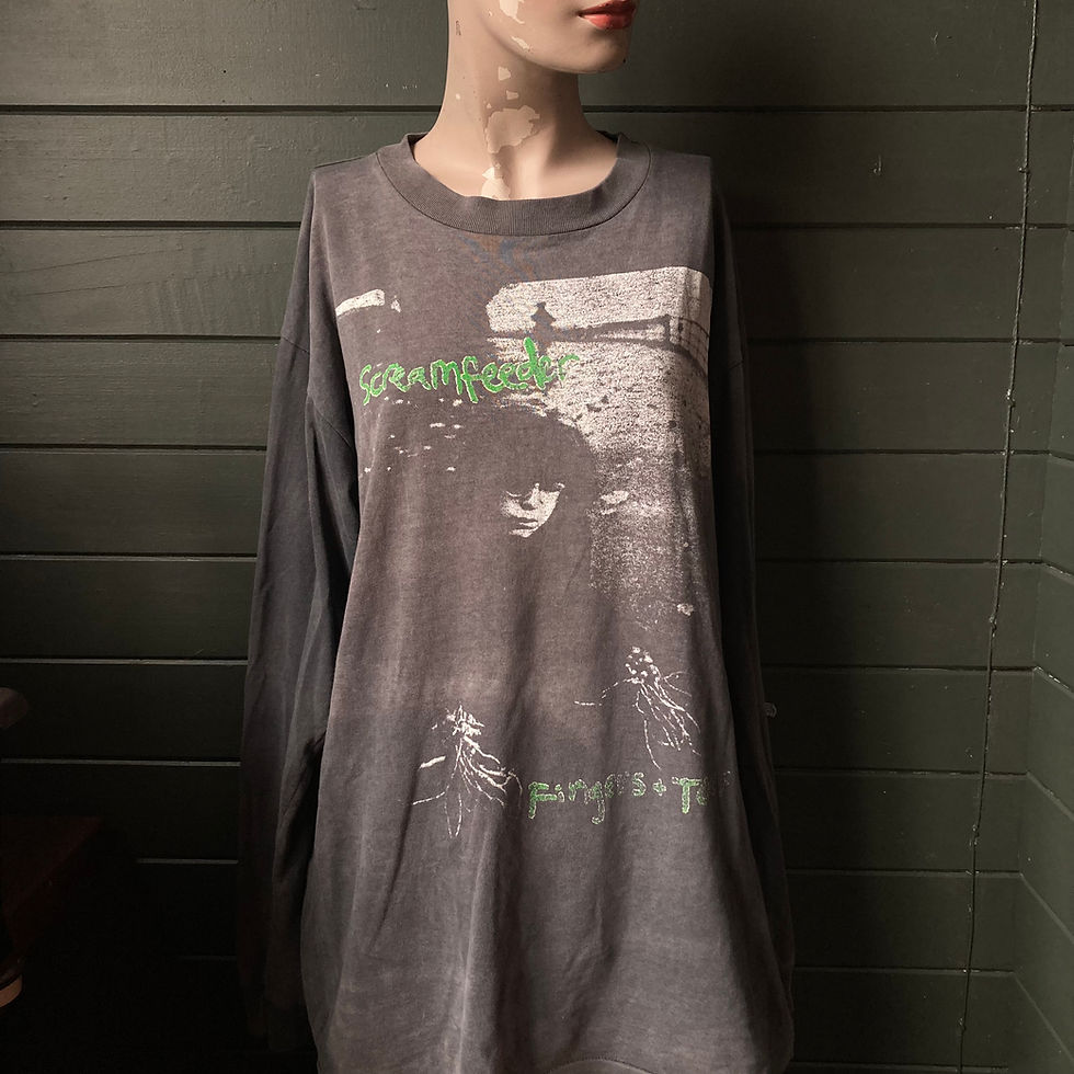 Thumbnail: 1993 screamfeeder LS t