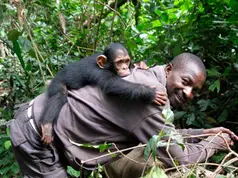 Why can we not verbally talk to animals?