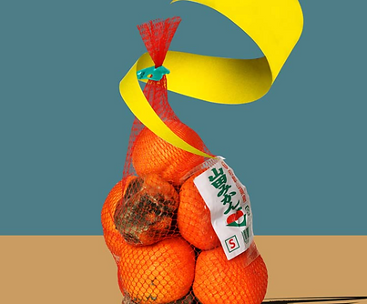 shinya masuda.png