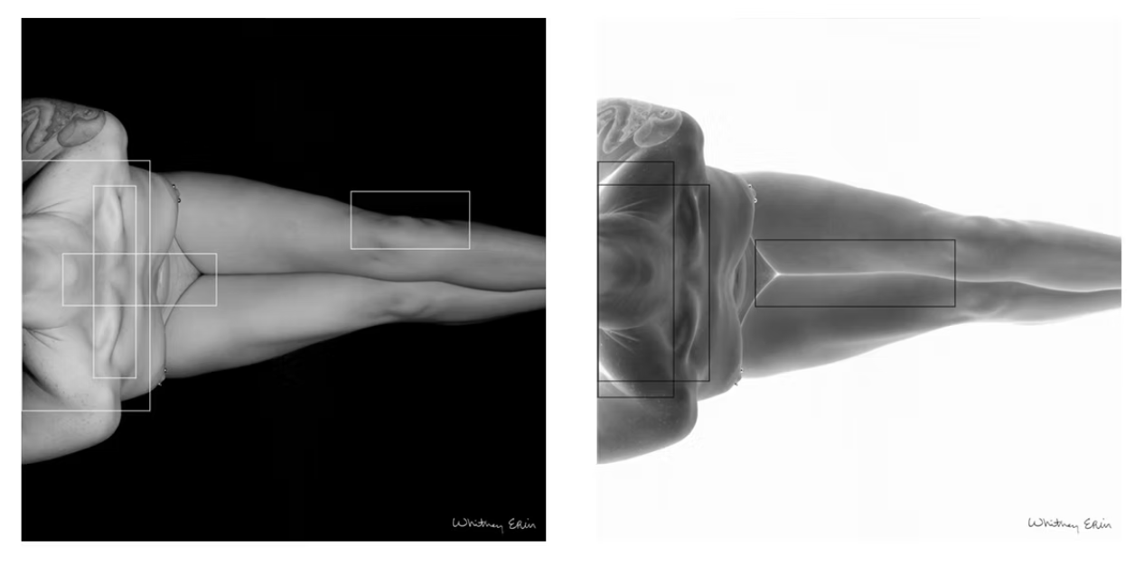 "One cm." - 2x4" Archival Print