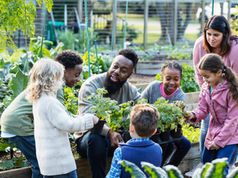 Why aren't their more community gardens?