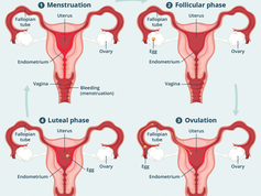 Why are so many people (men and women) so uncomfortable with periods and menstrual blood?