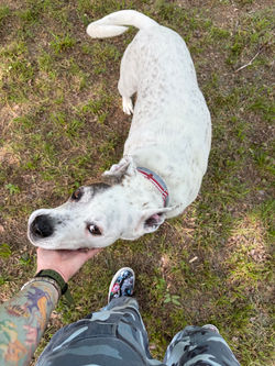 "Do you really have to go?" | DFW, TX