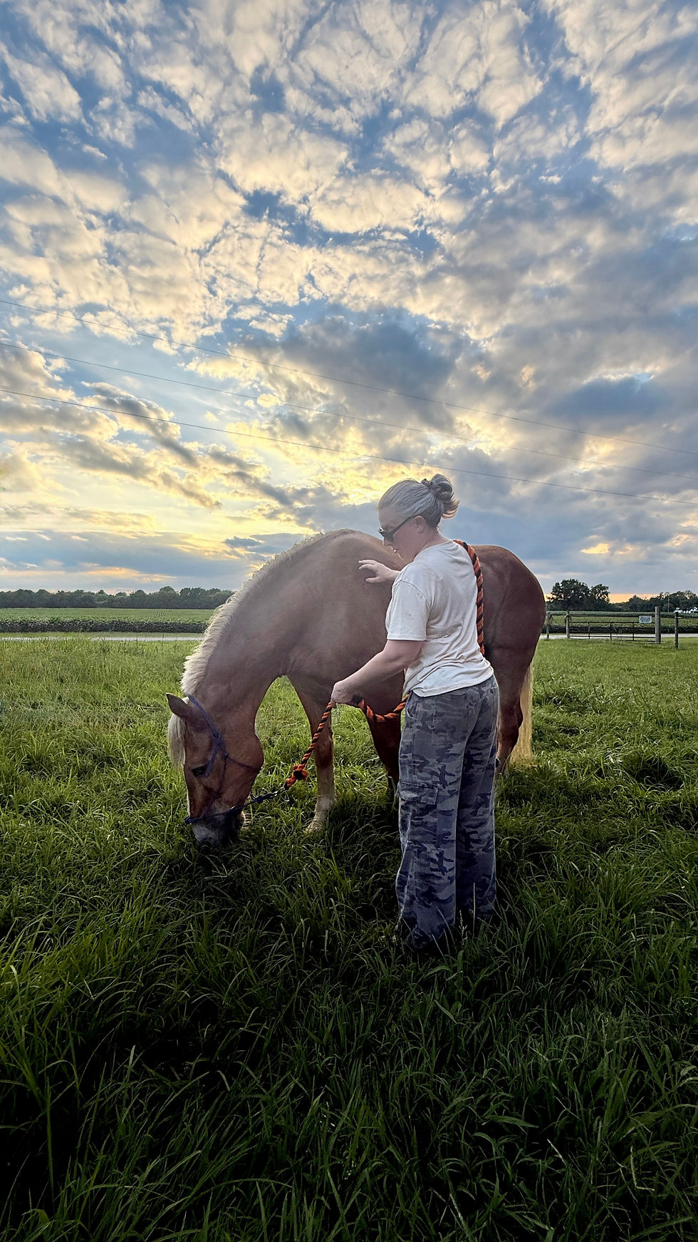 A serene evening in the countryside as a woman gently tends to a horse grazing in a lush green field, beneath a dramatic, cloud-filled sky.