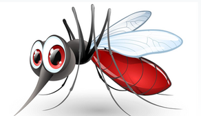 cute cartoon mosquito