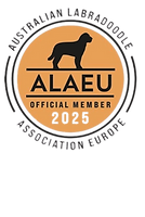 Simple Minimalist One Line Dog Cat Logo (1).png