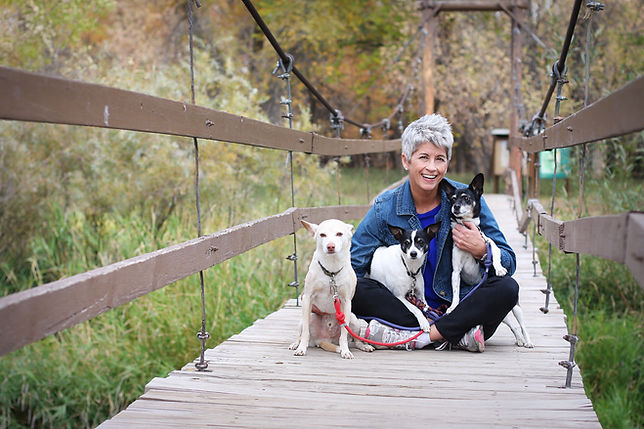 Mary dogs and bridge.jpg
