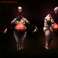 Cystic Circus Concept
