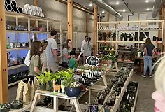Plant store