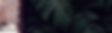 Rectangle 60.png