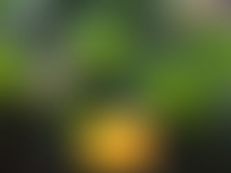 See y'all in HOUSTON tomorrow! Plus, Conroe Farm Stand Details.