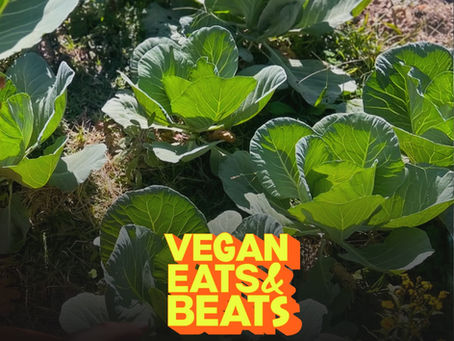 See y'all in HOUSTON tomorrow! Plus, Conroe Farm Stand Details.