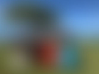 レフア先生。lifetime achievement awards 受賞の様子。オアフ島にて。