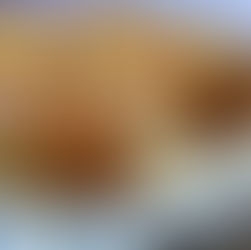 Camembert croustillant au miel 