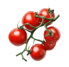 Grappe de tomates cerises