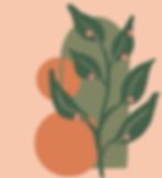 387594764_648135870762879_7944331146346236266_n_edited.jpg