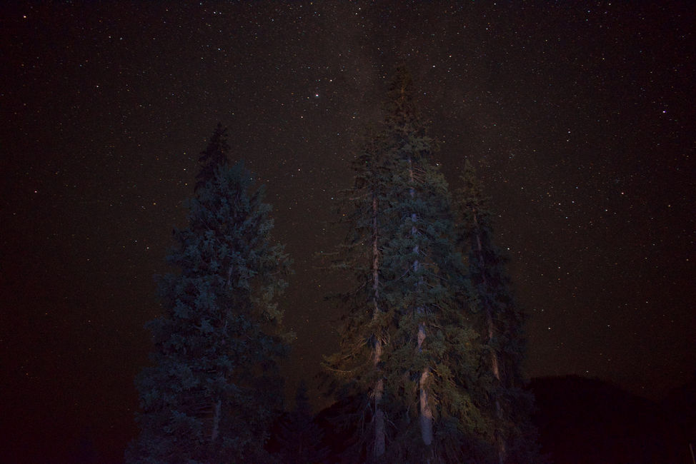 _DSC0006.jpeg