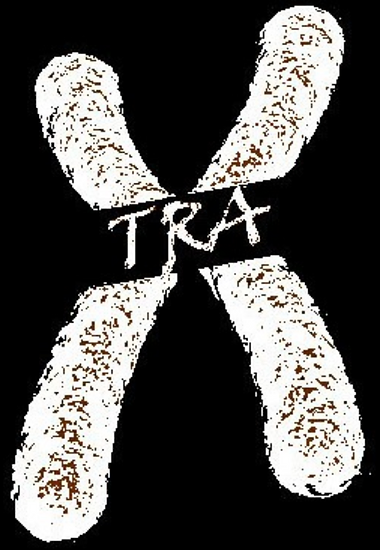 xtra clothing website