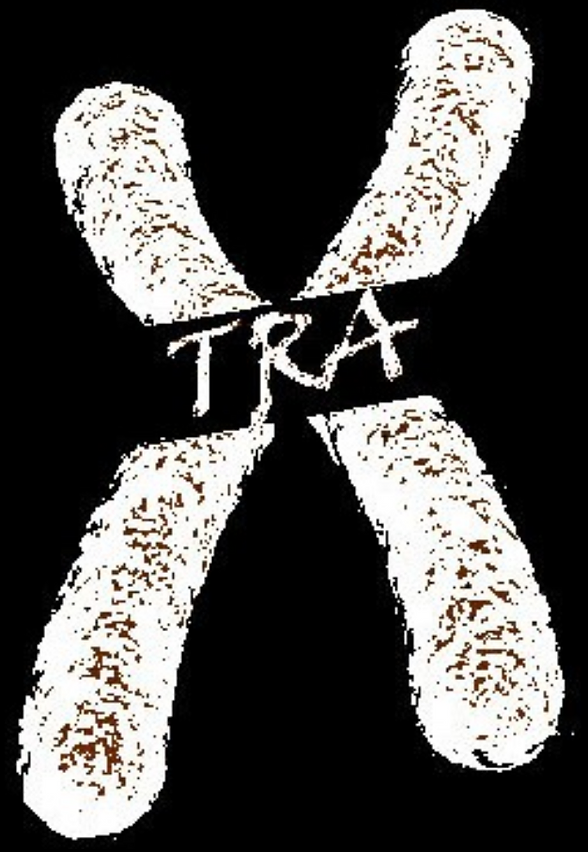 suit for men reception