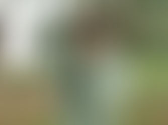 Philippines Ads Gems: Unveiling the Most Effective Campaigns