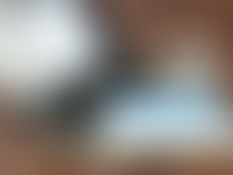 WordPress vs Wix: Features, Pricing, and Usability – Which Platform is Best?