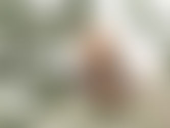 Tips on How to Maximize Affiliate Income within Limited Time