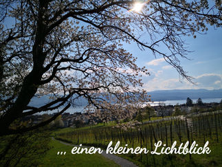 Info Corona update 1,,,, einen kleinen Lichtblick