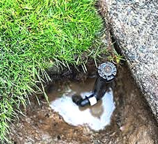 Sprinkler head Replavcement 2_edited.jpg