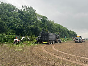 Bowman Arboriculture - Tree Vegetation Management & Site Clearance in Leeds, West Yorkshire