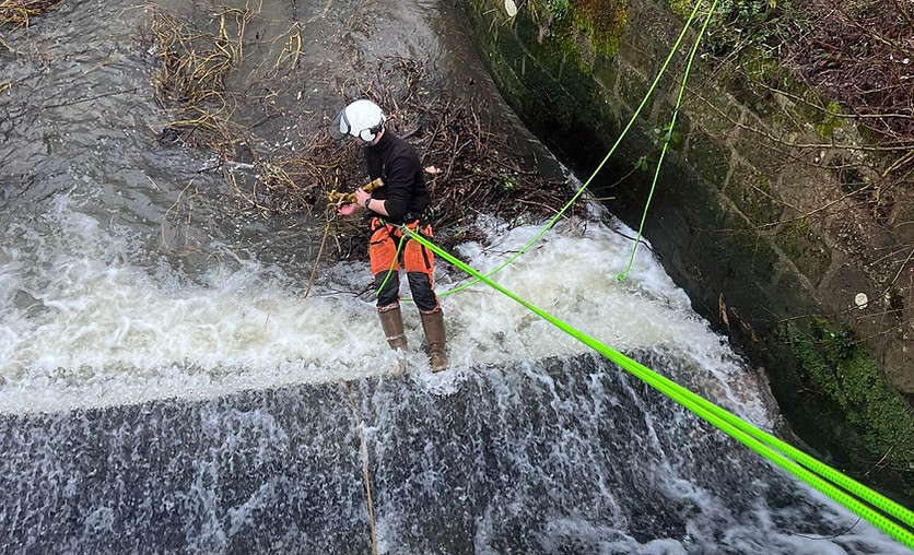 Bowman Arboriculture - Tree Specialists in Leeds, West Yorkshire