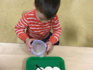 Seedlings: Building a Snowman