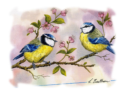 Oiseaux printemps.JPG
