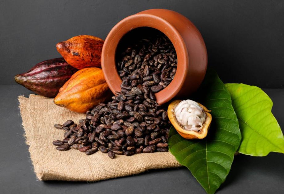 cacao1.JPG