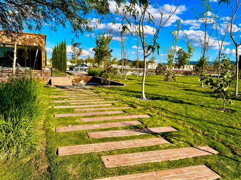 AREAS VERDES