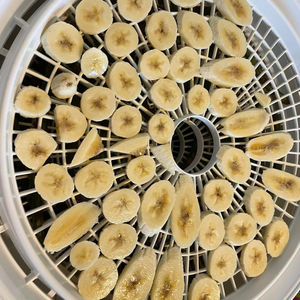 Dried Fruit