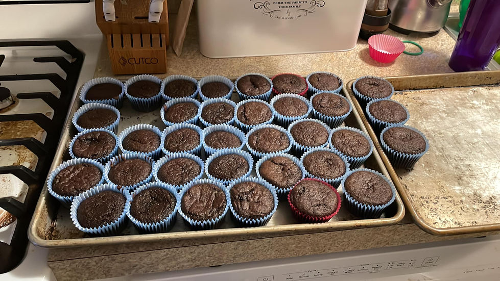 Chocolate Cupcakes (Olaf)