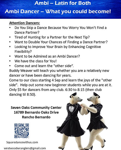 250904 - SSD Class - Ambi.jpg