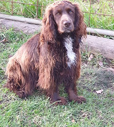 20220623_170130.bronwen.jpg