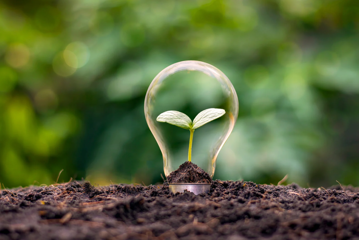 Sustainability for Business Forum