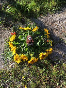IMG_0750.jpeg
