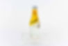 Schweppes Tonik