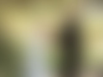 Bride in white dress and groom in black suit hold hands, smiling in a sunlit garden with green foliage and path in the background. It's a Kings Park elopement with Sally Bruce Celebrant.