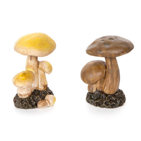 Mushroons